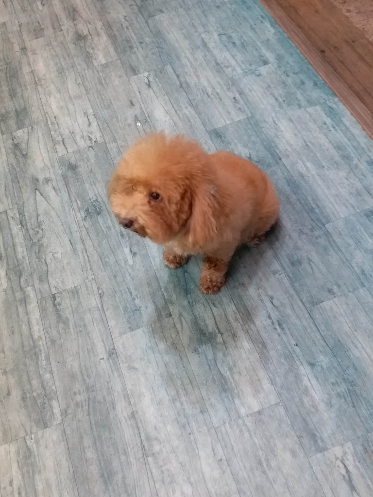 Tea's原味 的照片