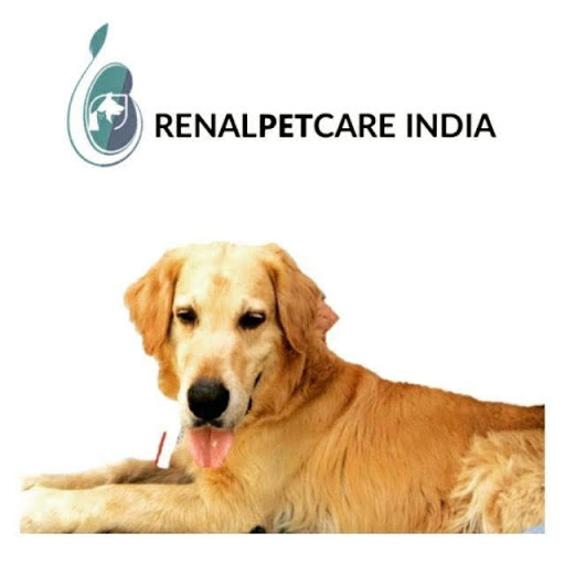 Renalpetcare India