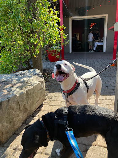 Brewery «Red Hare Brewing Company», reviews and photos, 1998 Delk Industrial Blvd SE, Marietta, GA 30067, USA