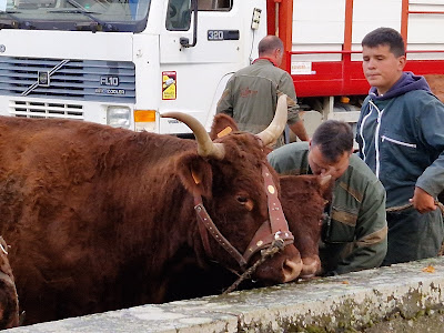 Medic'Auvergne à Saint-Flour