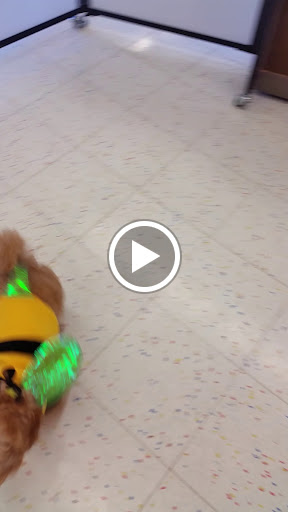 Pet Supply Store «Petco Animal Supplies», reviews and photos, 313 Homer M Adams Pkwy, Alton, IL 62002, USA