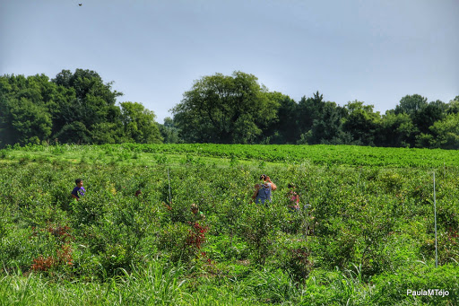 Event Venue «The Grove at Williamson Place», reviews and photos, 3250 Wilkinson Pike, Murfreesboro, TN 37129, USA