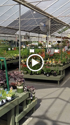 Garden Center «Pike Nurseries», reviews and photos, 6050 Bethelview Rd, Cumming, GA 30040, USA