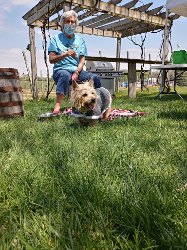 Vineyard «Sandhill Crane Vineyards», reviews and photos, 4724 Walz Rd, Jackson, MI 49201, USA