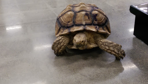 Pet Supply Store «Petco Animal Supplies», reviews and photos, 190 Quality Dr, Hooksett, NH 03106, USA