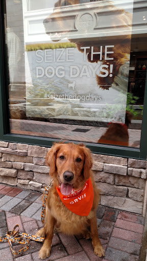 Clothing Store «Orvis», reviews and photos, 11800 W Broad St Suite 1650, Richmond, VA 23233, USA