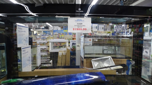 Pet Store «Sierra Fish and Pets», reviews and photos, 601 S Grady Way Suite M, Renton, WA 98057, USA