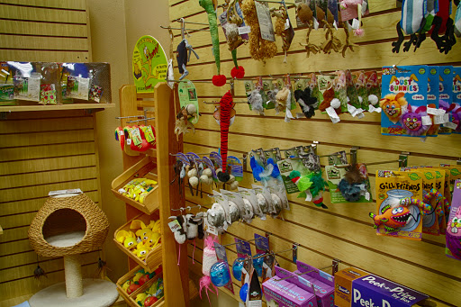 Pet Boarding Service «The Green K9», reviews and photos, 3815 Lake Center Dr, Mt Dora, FL 32757, USA