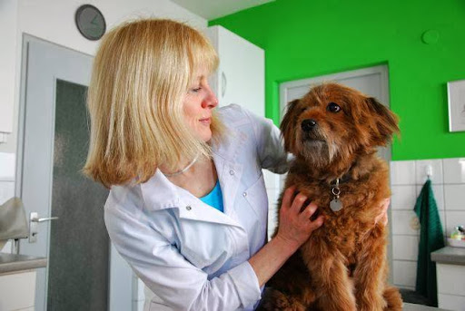 Tierarztpraxis Ulm Dr. Angelika Schäuffelen unter Ulm, 