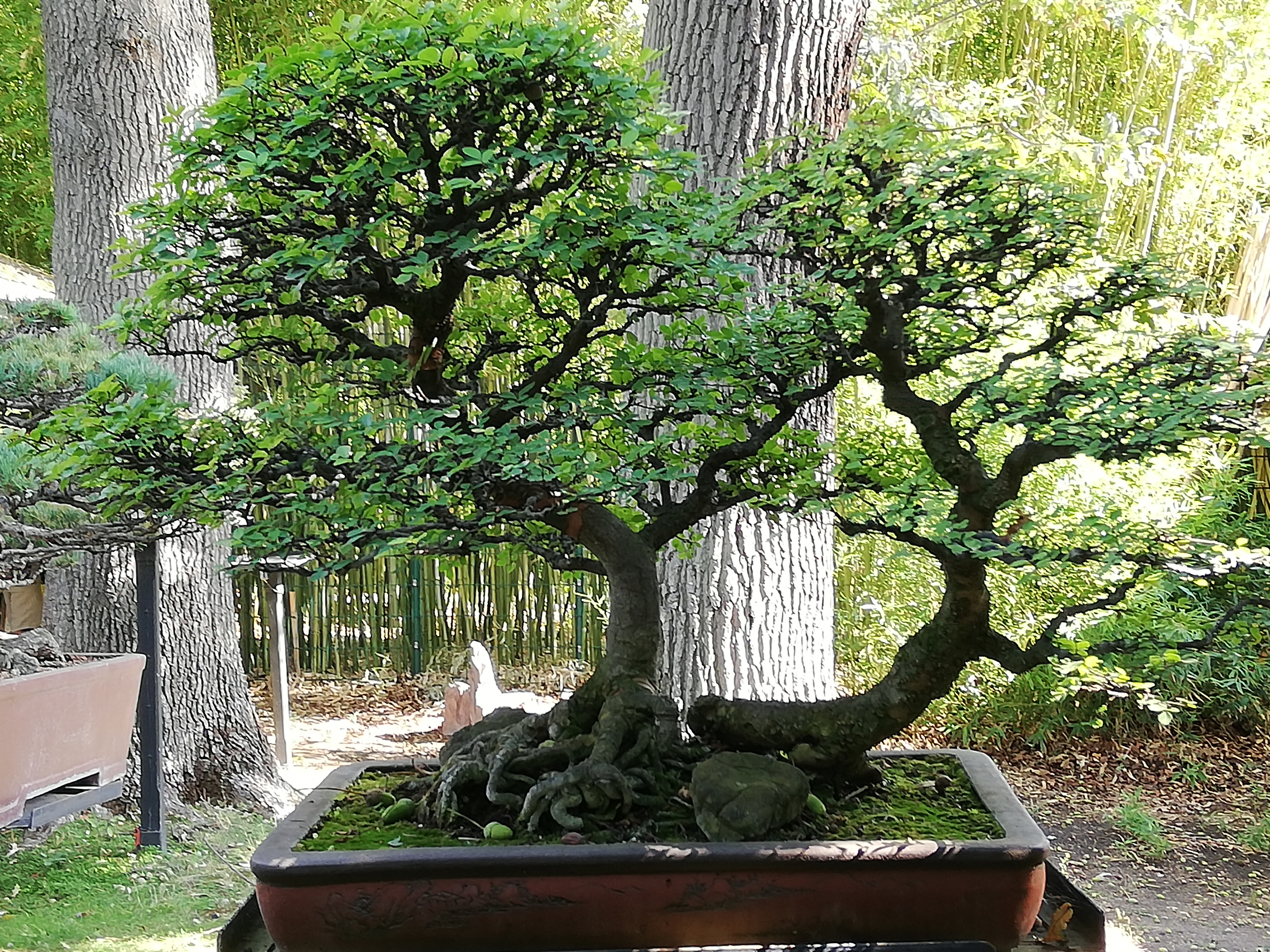 Photo n° 14 de l'avis de Samia.e fait le 16/08/2020 à 16:39