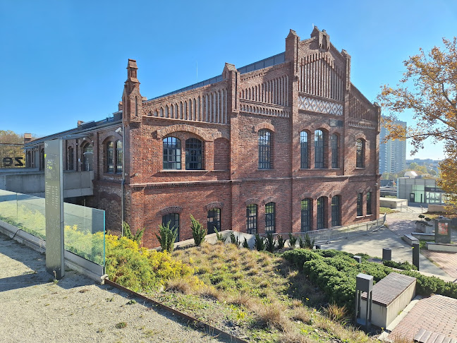 Muzeum Śląskie - Bukowno