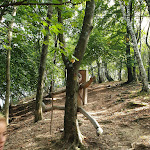 Photo n°1 de l'avis de Francesco. fait le 28/10/2018 à 17:52 sur le  Agriturismo La Pratolina, Alpe Comana à Schignano