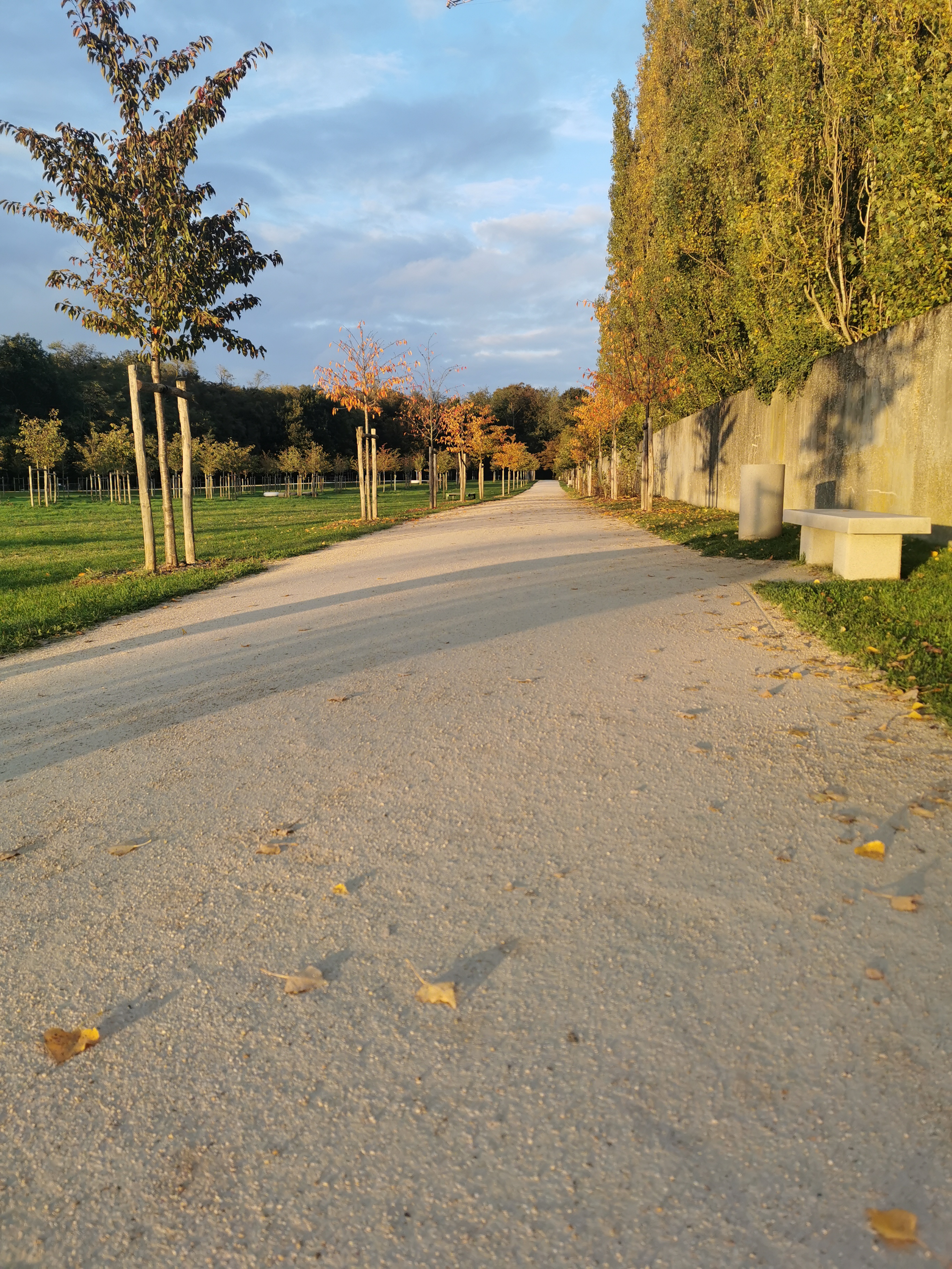 Photo n° 5 de l'avis de Imane. fait le 26/10/2021 à 08:30