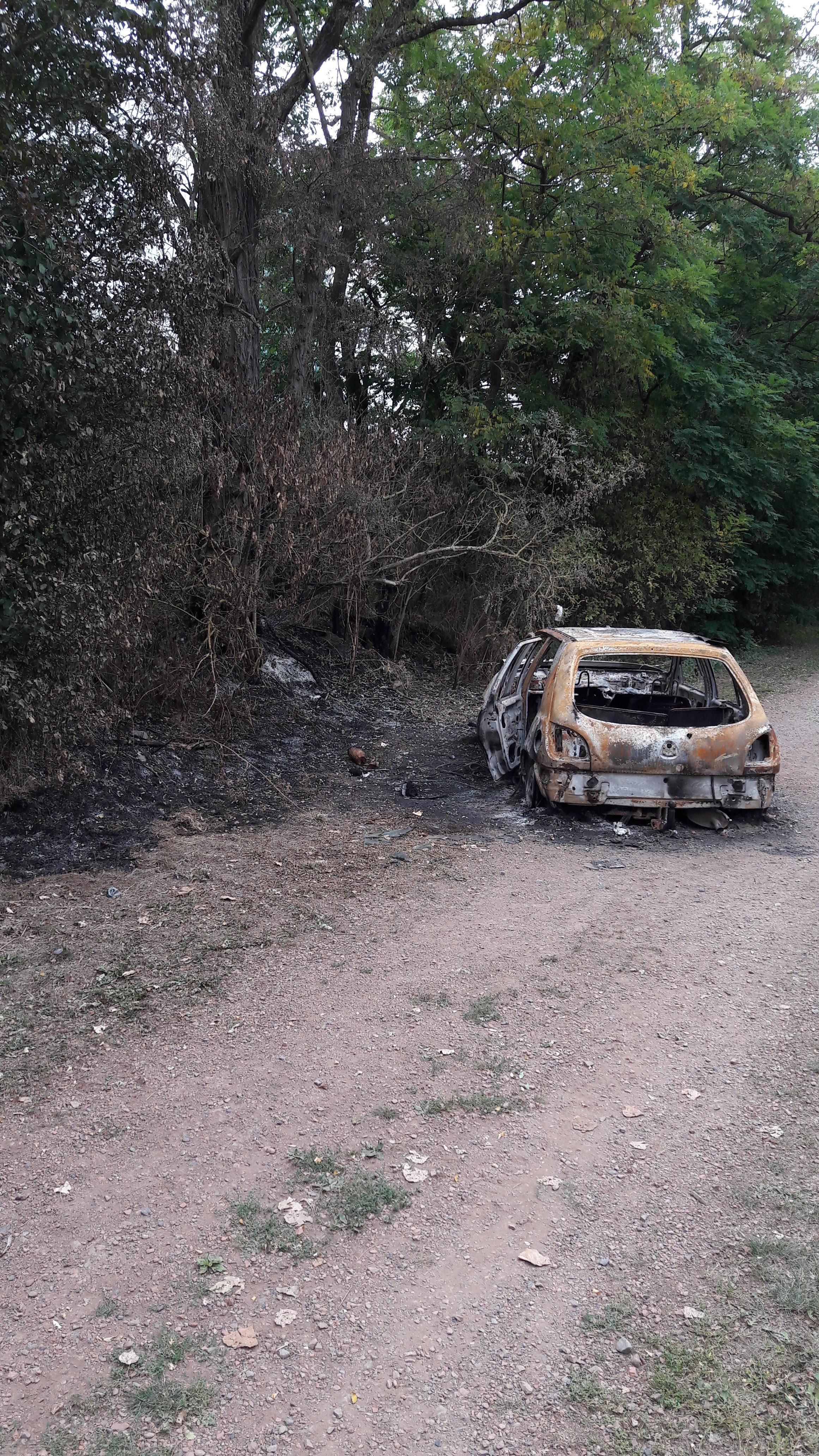 Photo n° 42 de l'avis de Alfa.l fait le 12/09/2019 à 04:09