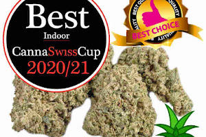 CBD Shop Zürich, CBD Öl Testsieger Schweiz, Cannabis & Hanf | vaporspirit.ch
