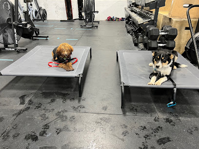 Rocky Mountain K9 | Dog boarding, Training, Grooming in Park City, Utah