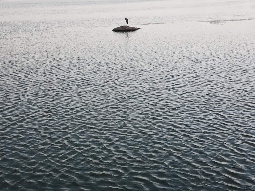 Hair Salon «Fantastic Sams Cut & Color», reviews and photos, 15594 Pilot Knob Rd #500, Apple Valley, MN 55124, USA