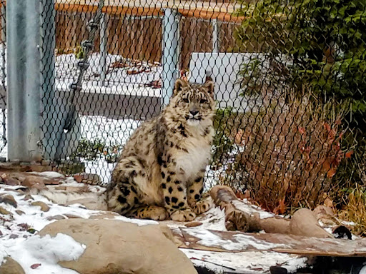 Zoo «Seneca Park Zoo», reviews and photos, 2222 St. Paul Street, Rochester, NY 14621, USA