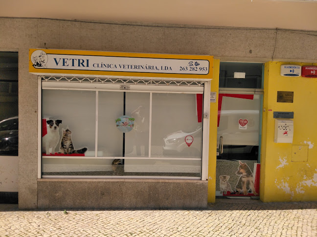 Avaliações doVetri - Clinica Veterinária, Lda. em Vila Franca de Xira - Veterinário
