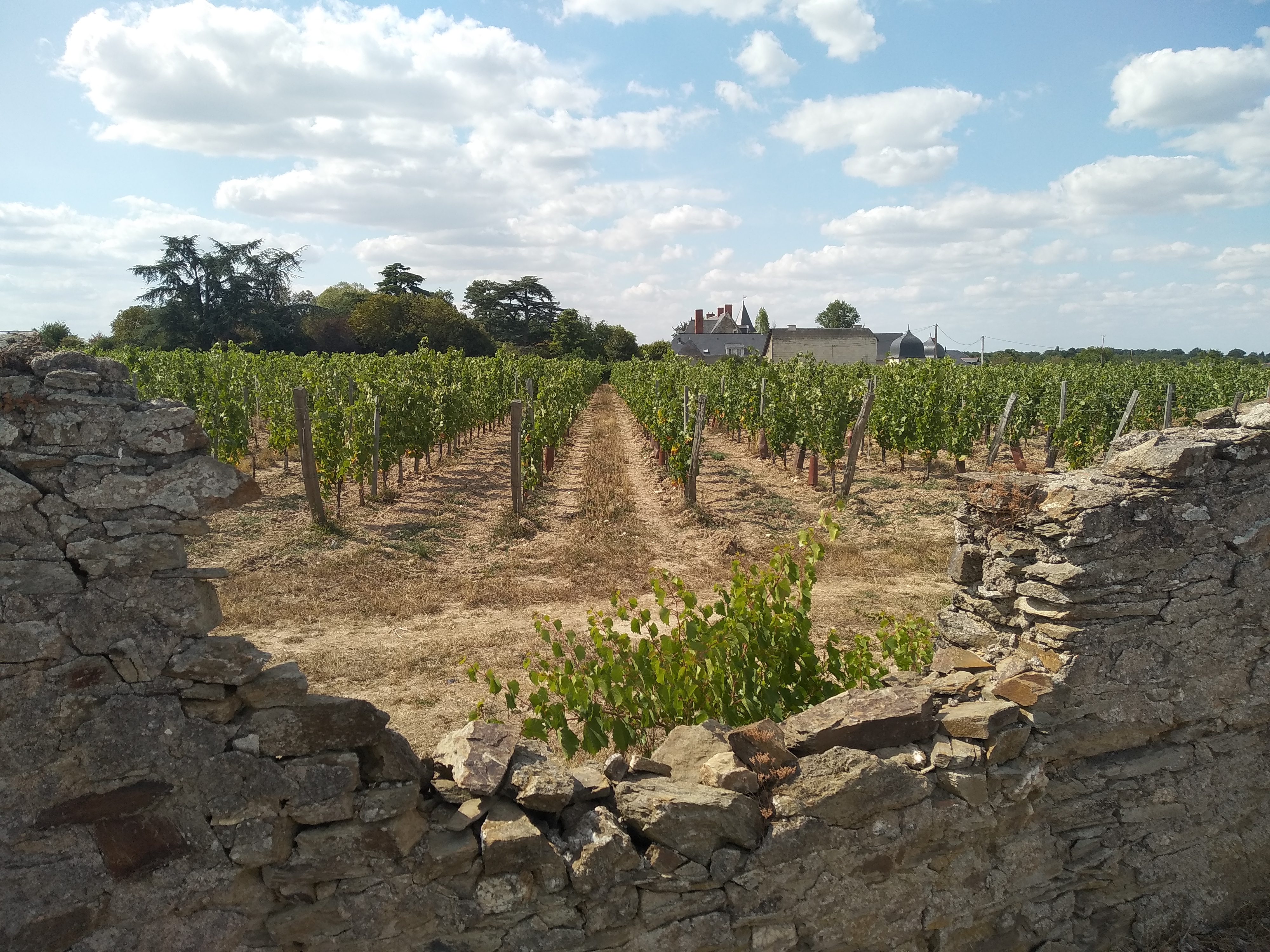 Photo n° 5 de l'avis de BllB. fait le 02/08/2019 à 20:13