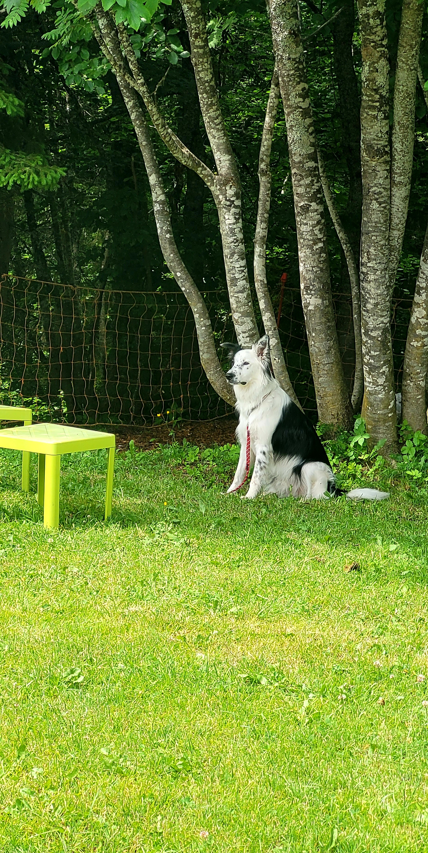 Photo n° 3 de l'avis de Fabien.o fait le 03/07/2021 à 12:44