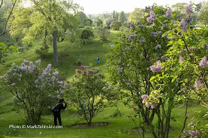 Royal Botanical Gardens - Arboretum image