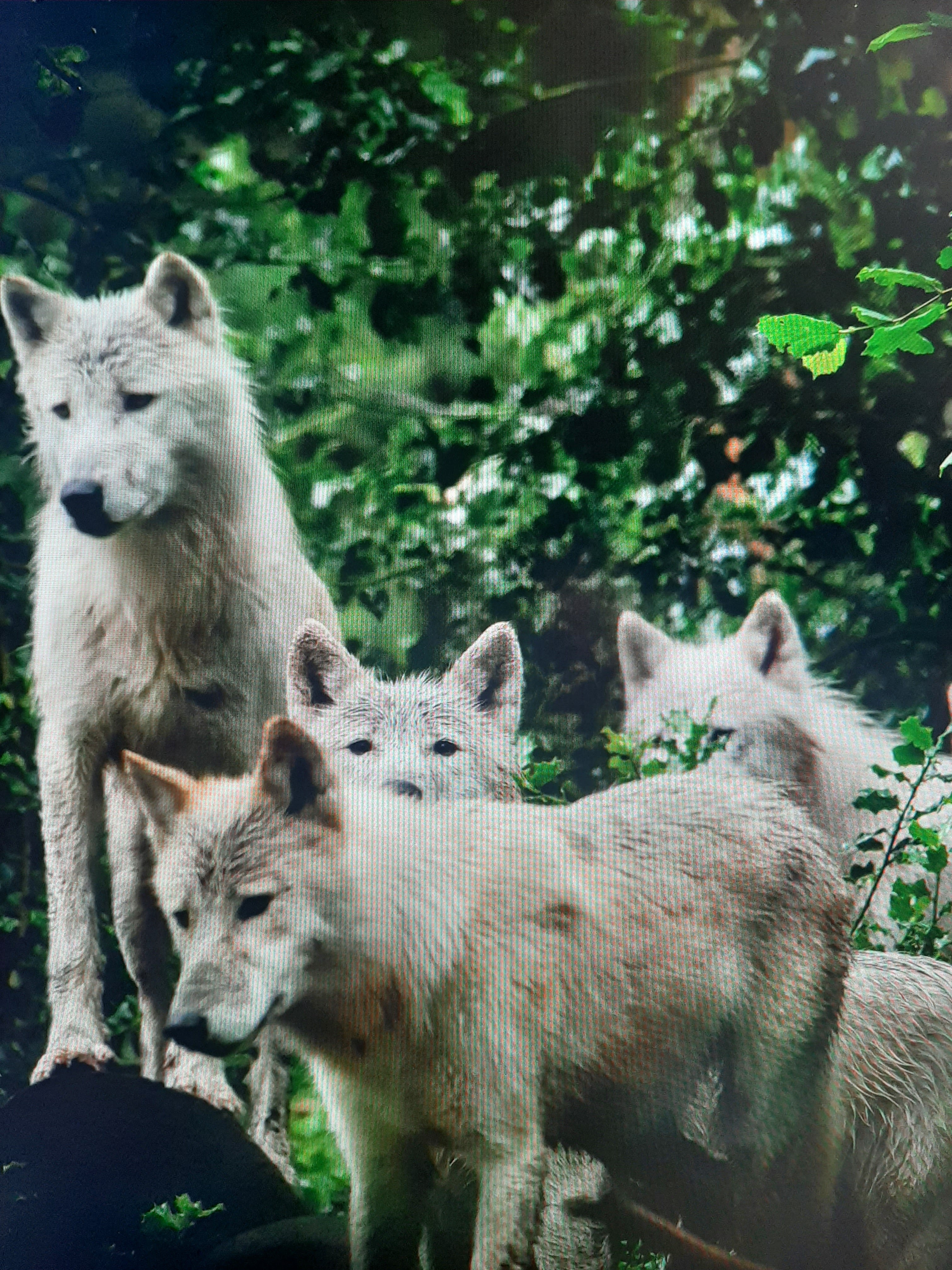 Photo n° 2 de l'avis de Gp-photography. fait le 21/07/2023 à 19:16