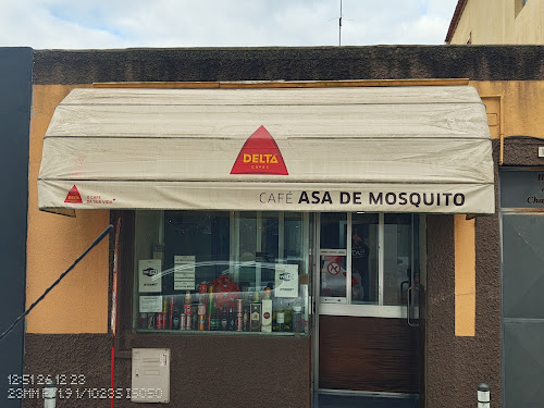 Asa de Mosquito em Matosinhos