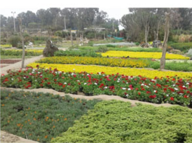 MAX GRASS - JARDINERÍA - Centro de jardinería