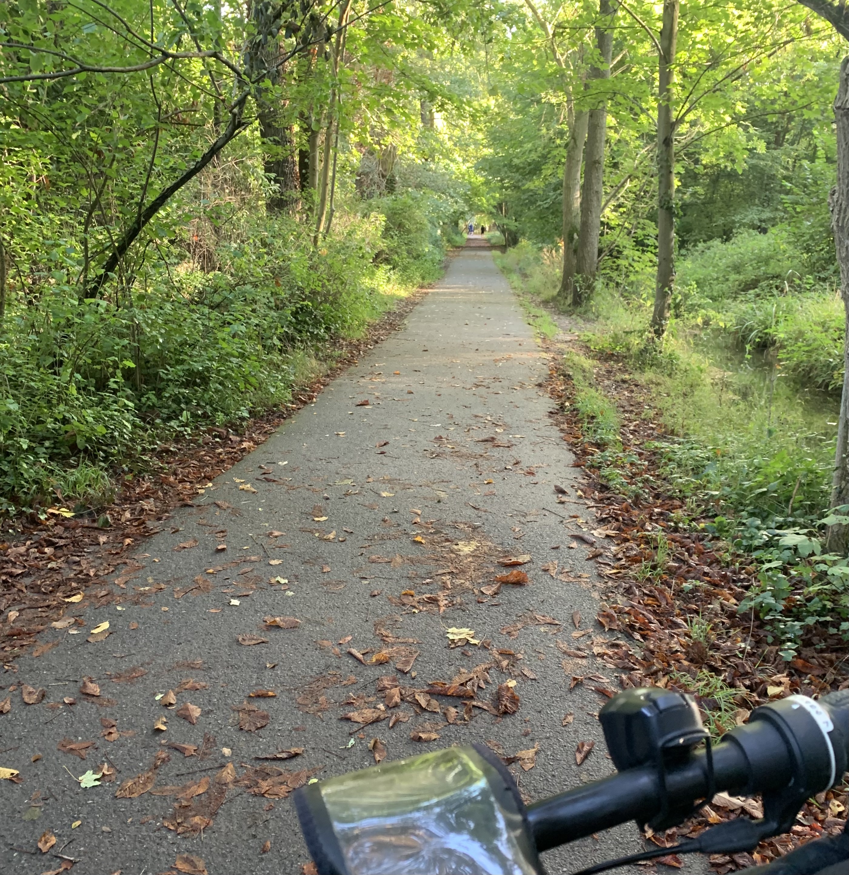 Photo n° 4 de l'avis de F. fait le 09/08/2022 à 05:38