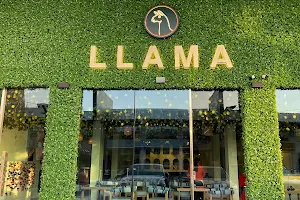 Llama image