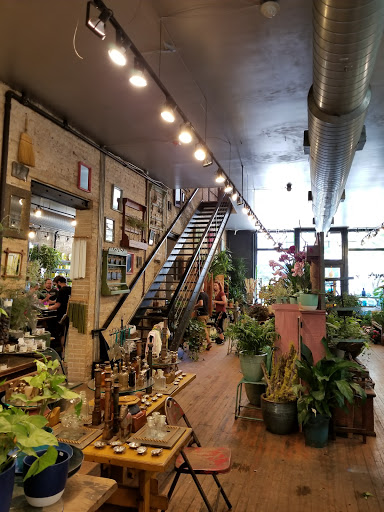 Florist «A New Leaf», reviews and photos, 1645 N Wells St, Chicago, IL 60614, USA
