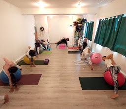 Bikram Yoga San Angel photo