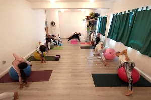 Yogaterapia México image