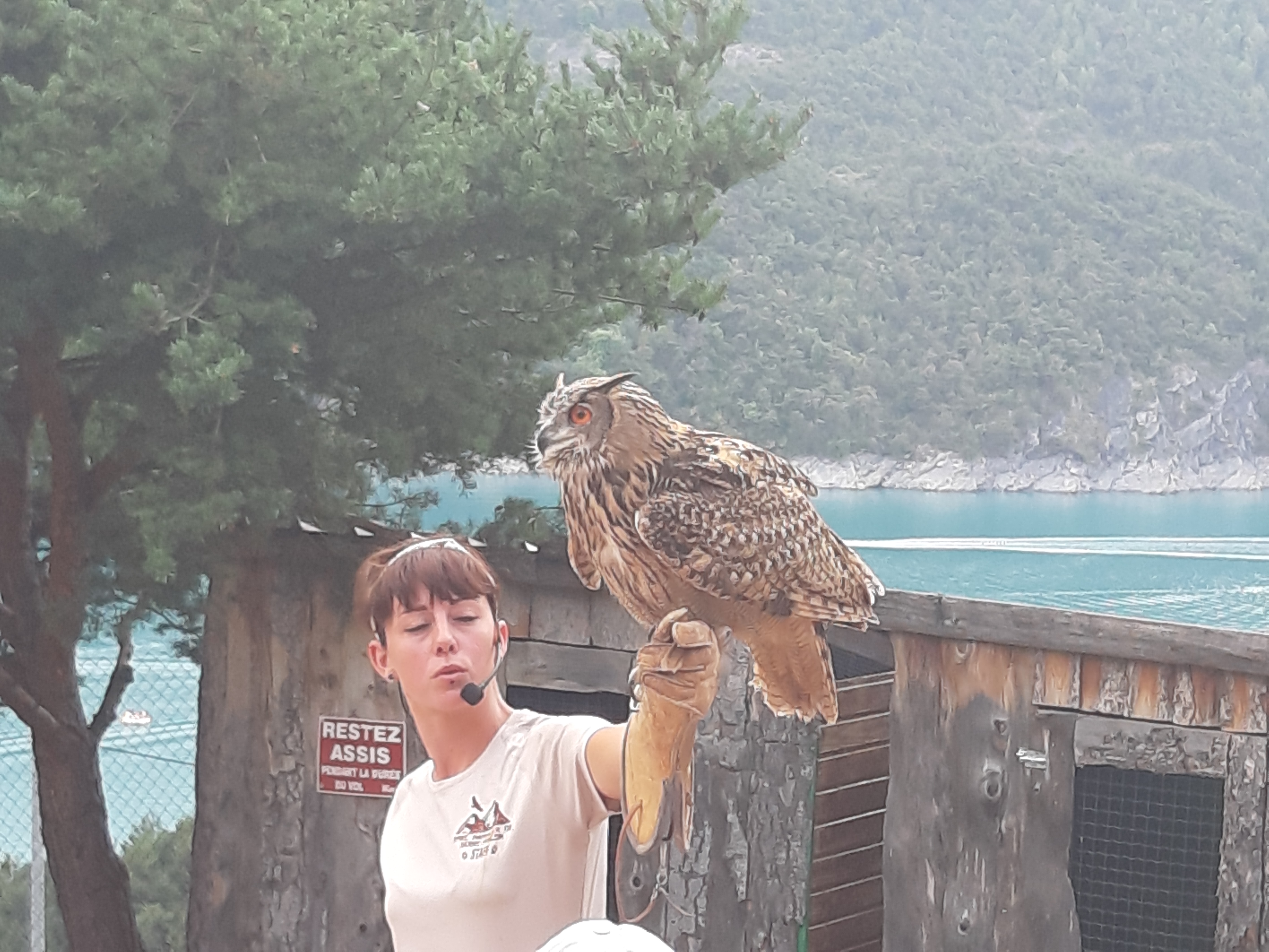 Photo n° 4 de l'avis de Domy. fait le 22/08/2019 à 22:17