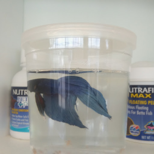 Pet Supply Store «Pet Supplies Plus», reviews and photos, 1237 Concord Pkwy N, Concord, NC 28025, USA