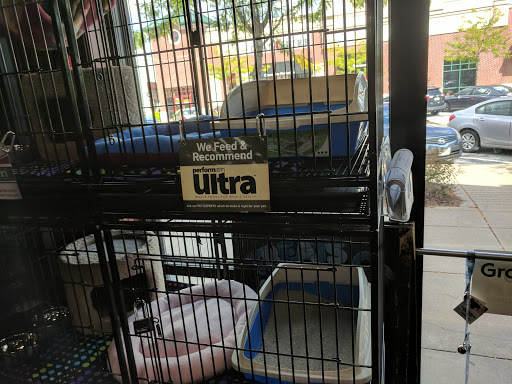 Pet Store «Pet Valu», reviews and photos, 114 Shawan Rd, Hunt Valley, MD 21030, USA