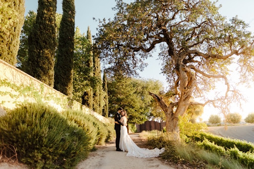 CaliPaso Winery and Villa image