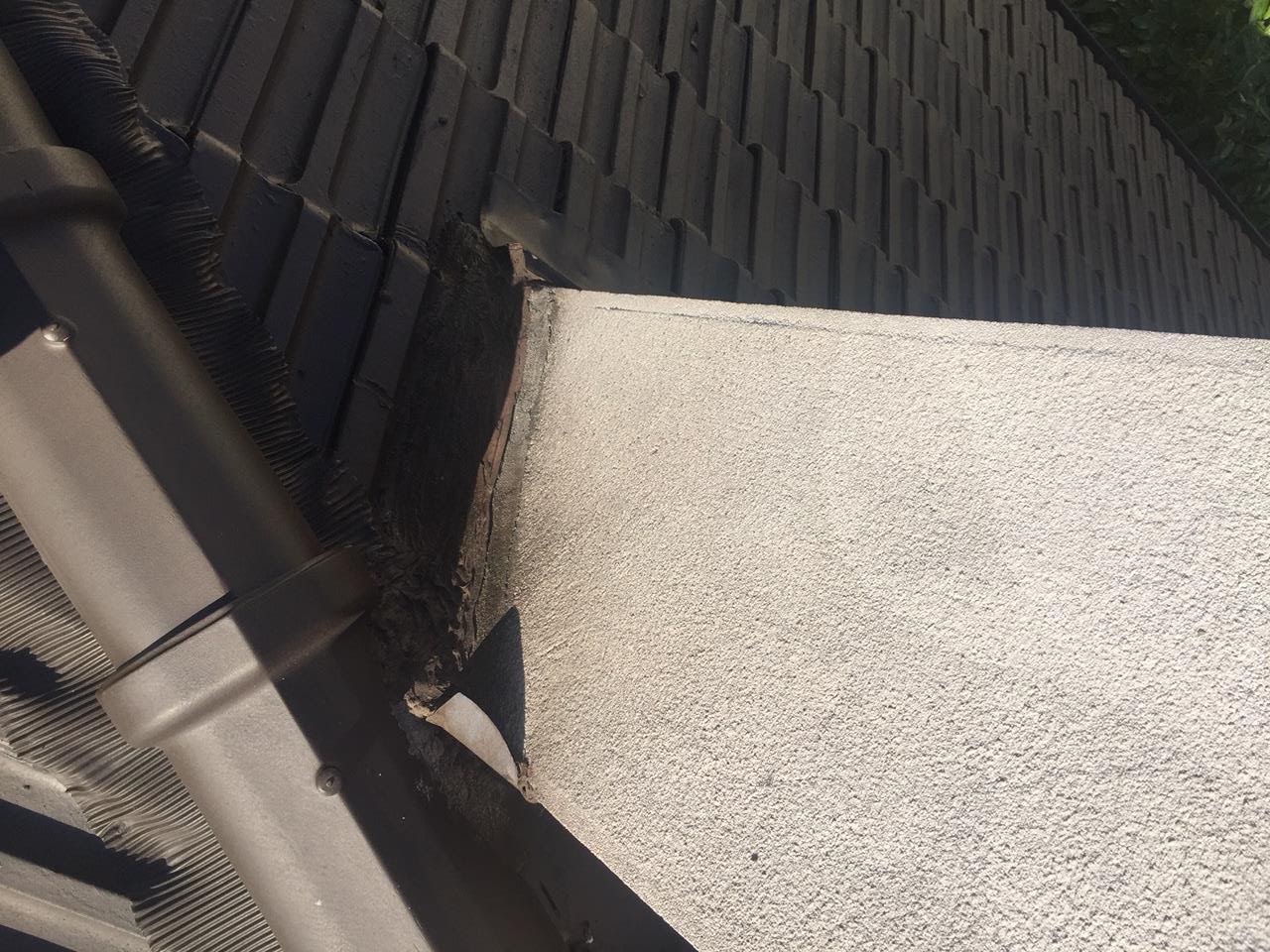 Photo n° 22 de l'avis de françoise.a fait le 21/03/2018 à 11:10