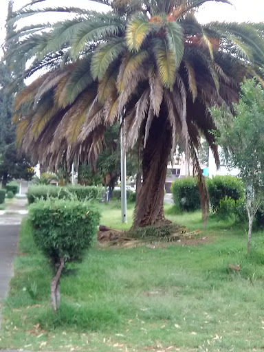 Parque de la paz