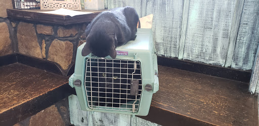 Crow Veterinary Clinic image