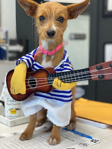 Pet Supply Store «Big Tex Feed & Pet Supply», reviews and photos, 7102 Cullen Blvd, Houston, TX 77021, USA