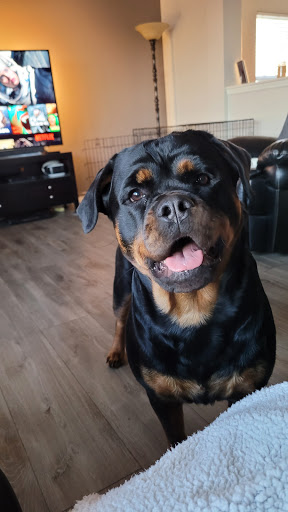 Pet Supply Store «Three Dog Bakery Inc», reviews and photos, 13904 Town Center Blvd # 200, Noblesville, IN 46060, USA