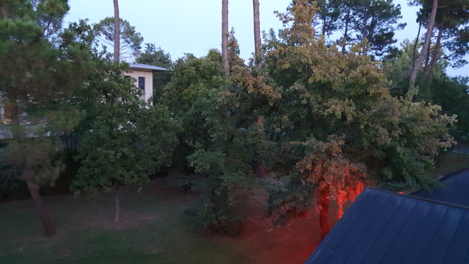 Photo n° 1 de l'avis de Emil.a fait le 15/09/2020 à 18:28