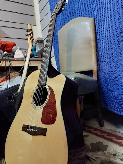 Awesome Hossam Customshop for guitar repairing and electronics