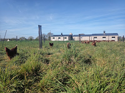 Ferme de la Ploutière à Teillay