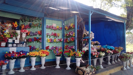 Florería Sergio (flores y plantas)