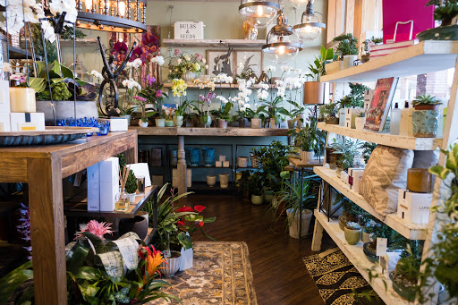 Florist «Happy Canyon Flowers», reviews and photos, 5048 E Hampden Ave, Denver, CO 80222, USA