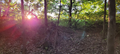 Nature Preserve «Sweet Arrow Reserve», reviews and photos, 789 Little Sugarcreek Rd, Sugarcreek Township, OH 45440, USA