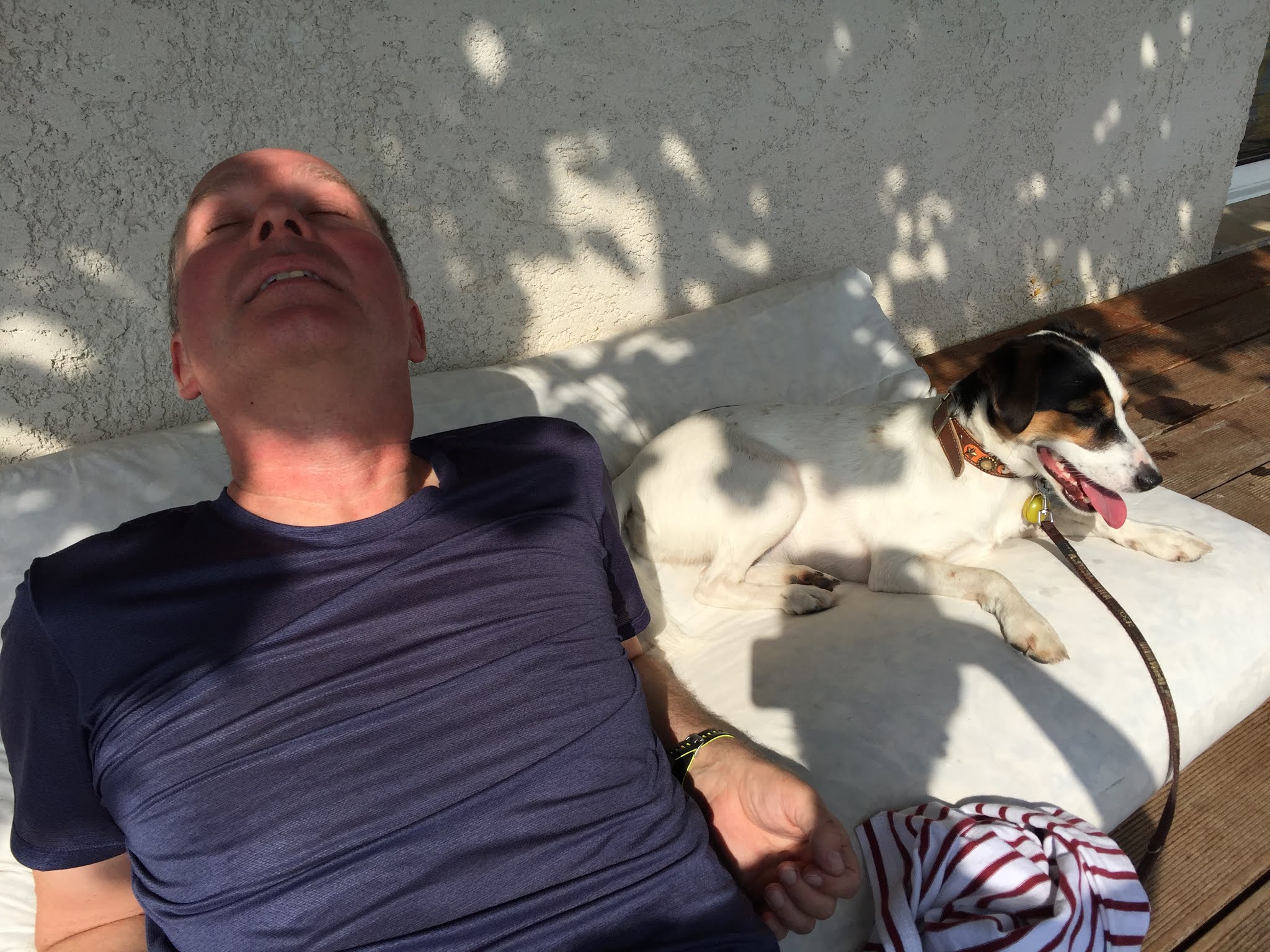 Photo n° 1 de l'avis de t.h fait le 15/10/2019 à 14:09